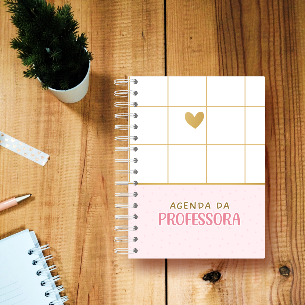 agenda professor rosa soft