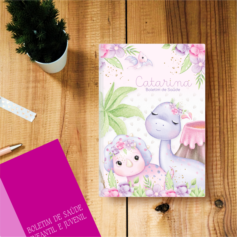 capas porta documentos dragões baby menina