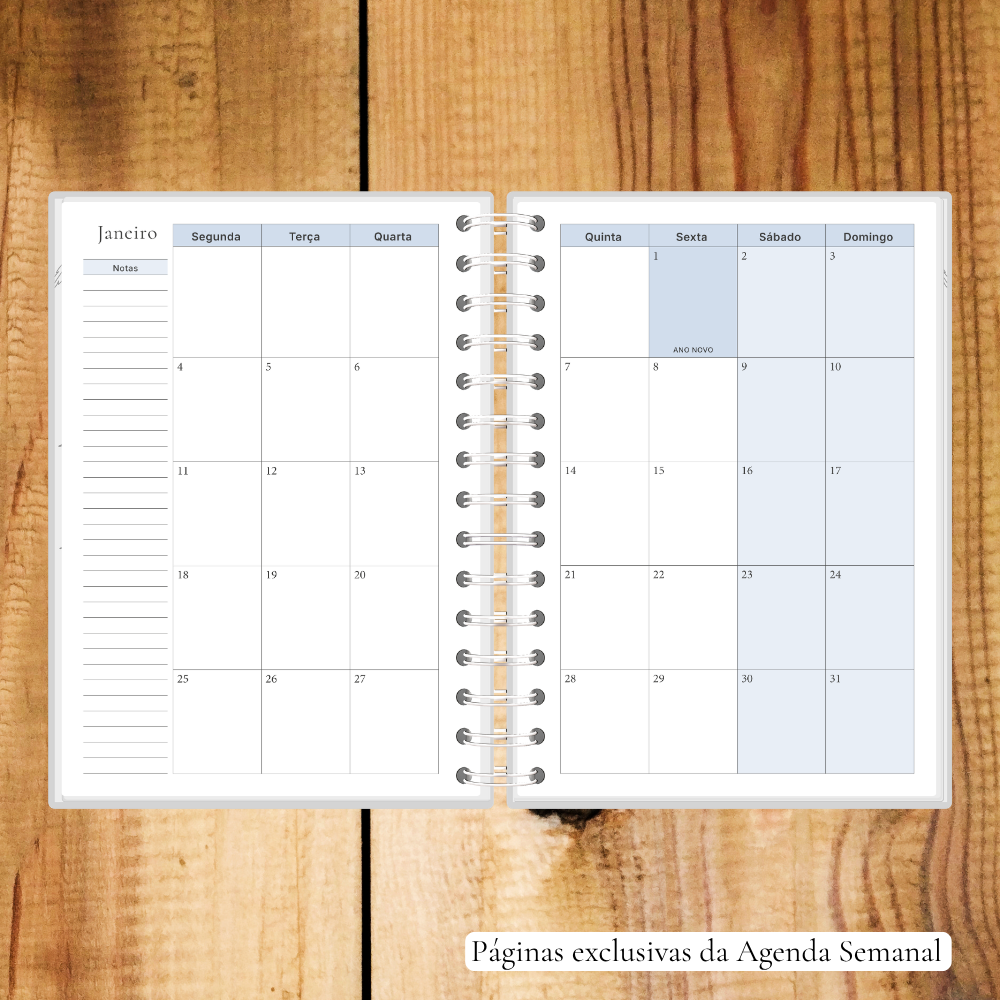 interior agenda masculina