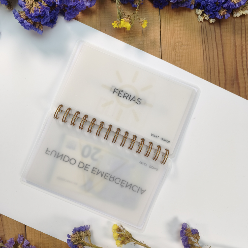 Conjunto de envelopes translúcidos para organização financeira em dinheiro