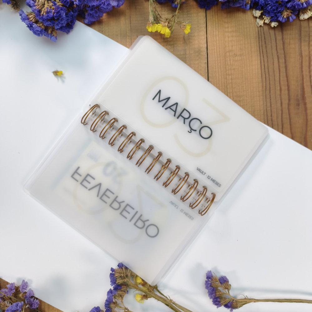 VAULT 12 Meses aberto com envelopes mensais para poupança anual em cash stuffing