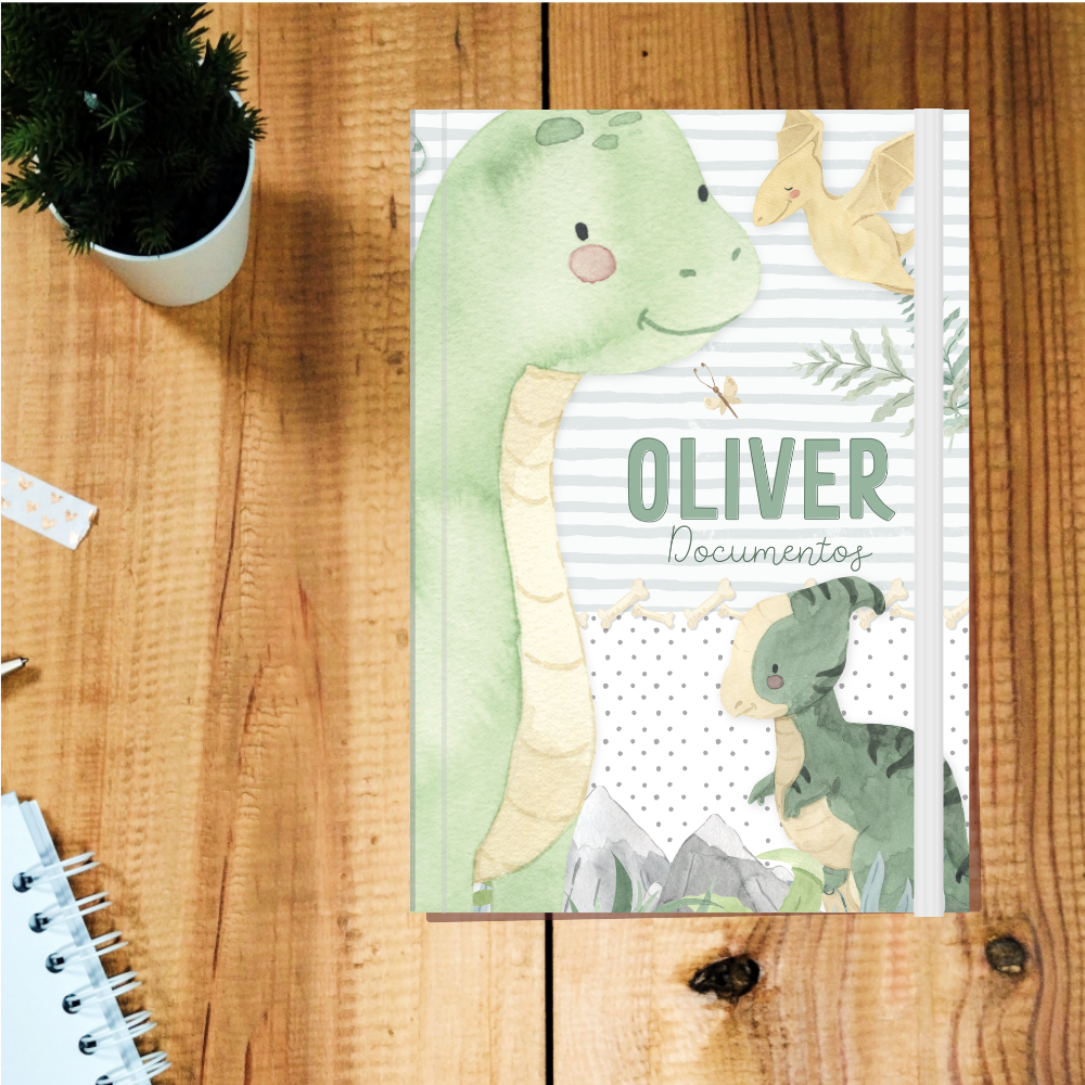 Pasta de documentos do bebé com ilustração de dinossauros, personalizada com o nome.